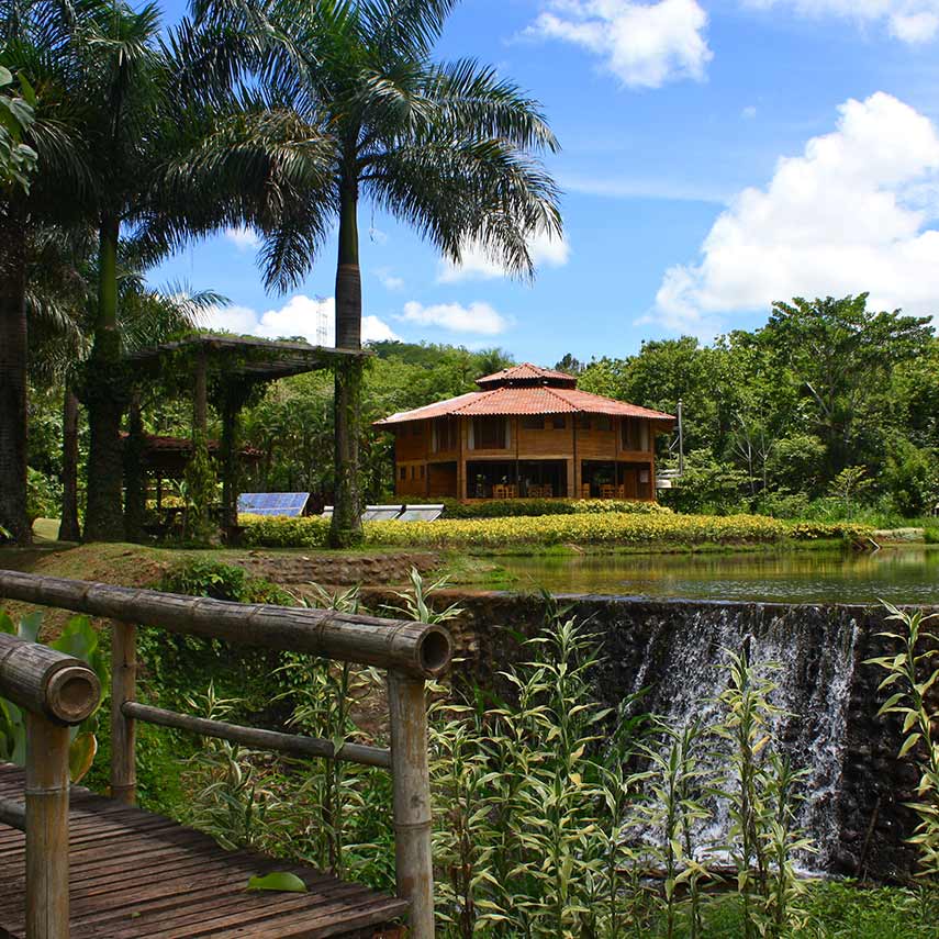 A view of the Eco Lodge at Macaw Sanctuary